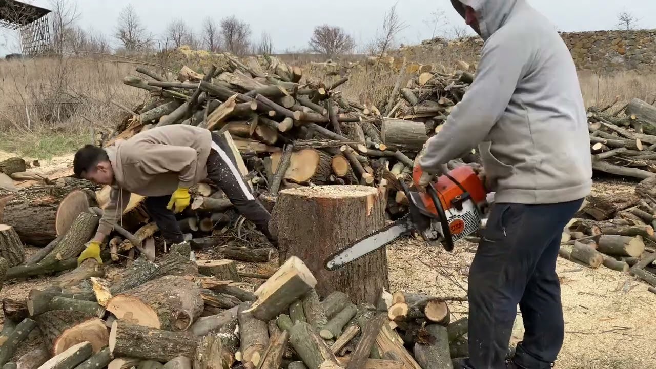 STIHL на дрібних дровах🪵🪵🪵