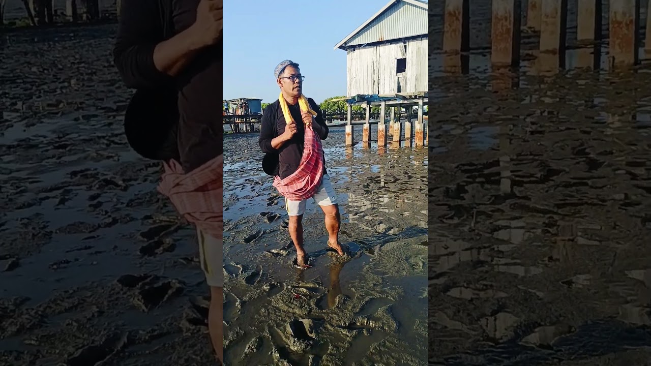 Cari kepiting dan kerang