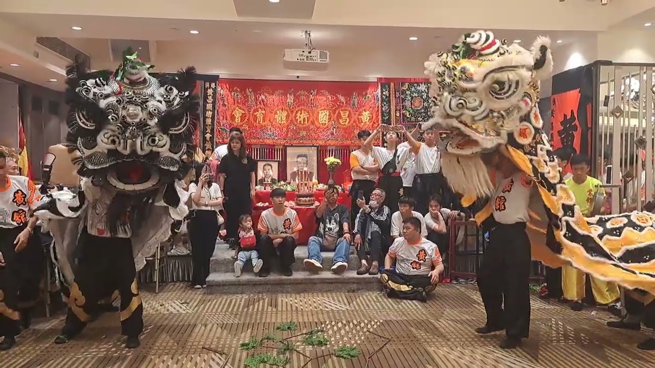 20230711 禪清港澳黃昌國術體育會成立99週年 黃昌國術體育會 醒獅表演“開枝散葉”青陣