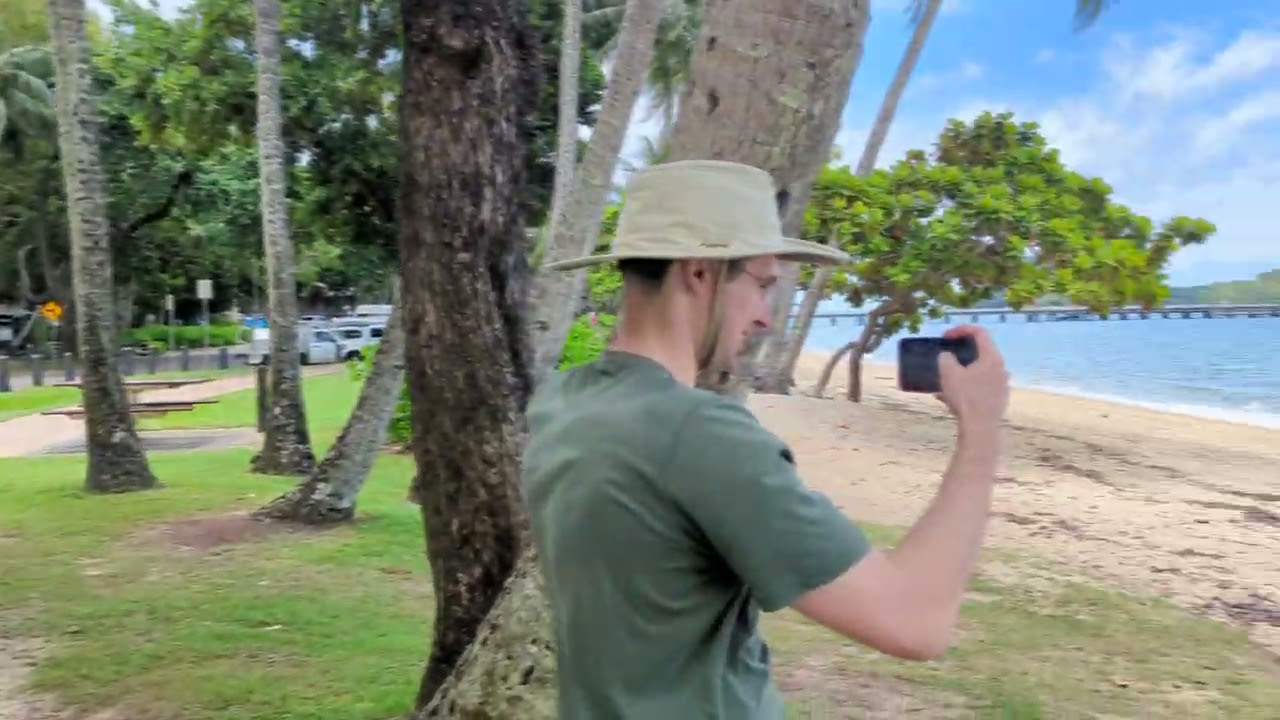 Palm cove