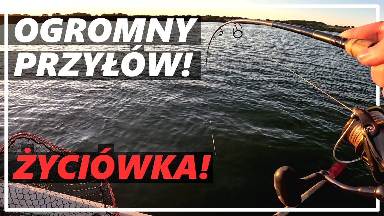 Niesamowity przyłów oraz gruube oKonie! Nieznana woda zaskoczyła! Wędkarstwo spinningowe