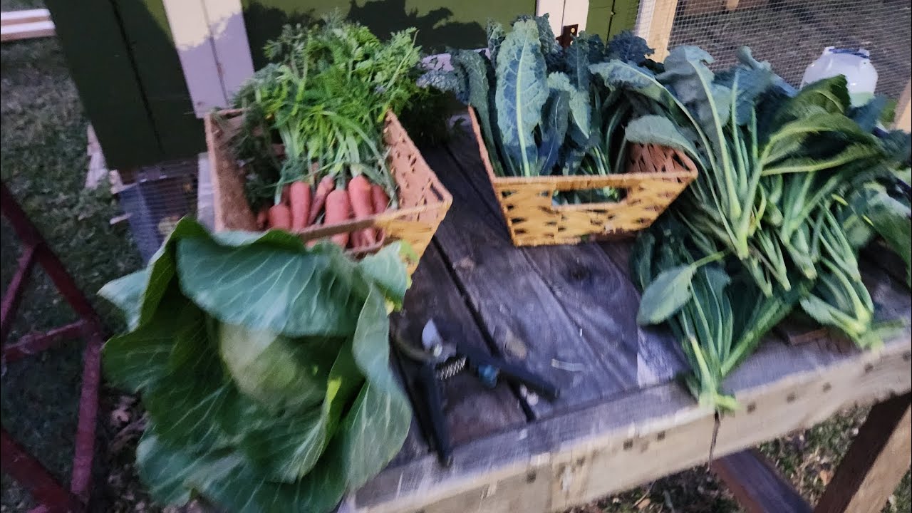 February tour and small harvest 