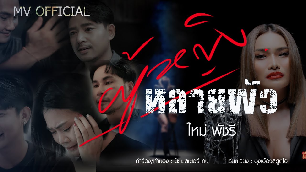 ผู้หญิงหลายผัว - ใหม่ พัชรี [OFFICIAL MV]