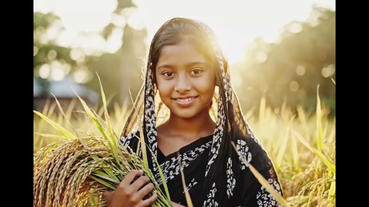 ধানের শীষ উর্দু গান Vote dengge kis ko dhaner shish ko.