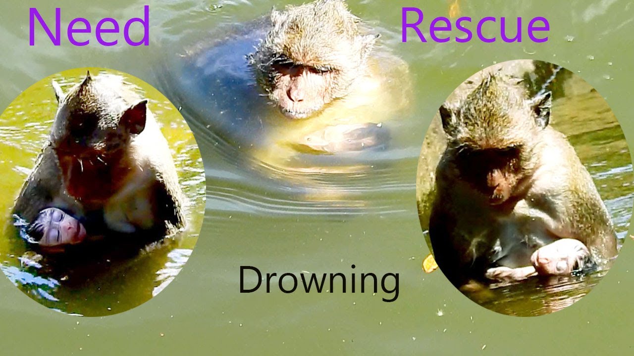 Oh My God!, Nearly Pass away, Tiny Baby Jason Drowning In Deep Water,Urgent Need To Rescue