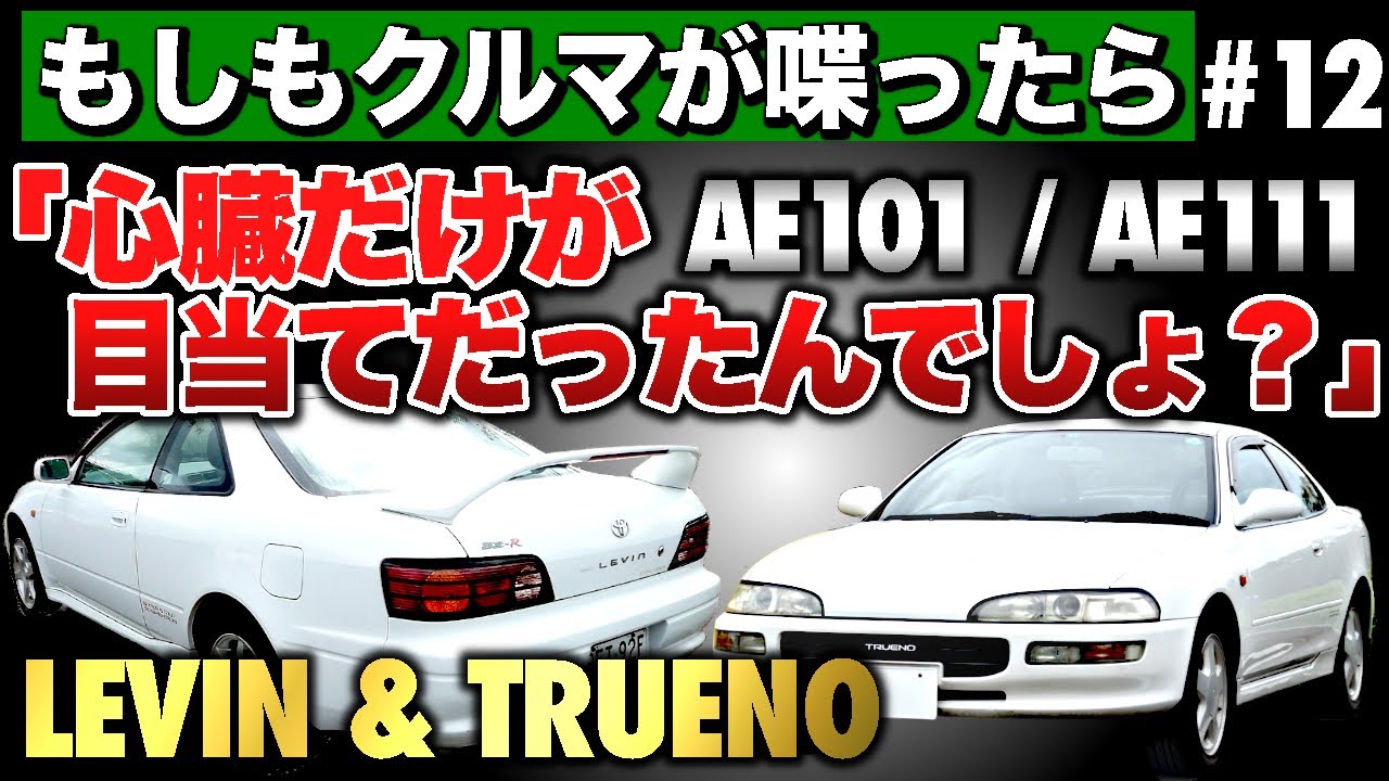 誰か、私の名前を憶えていますか？ 忘れられた姉妹車の“最後の声”【もしもクルマが喋ったら】