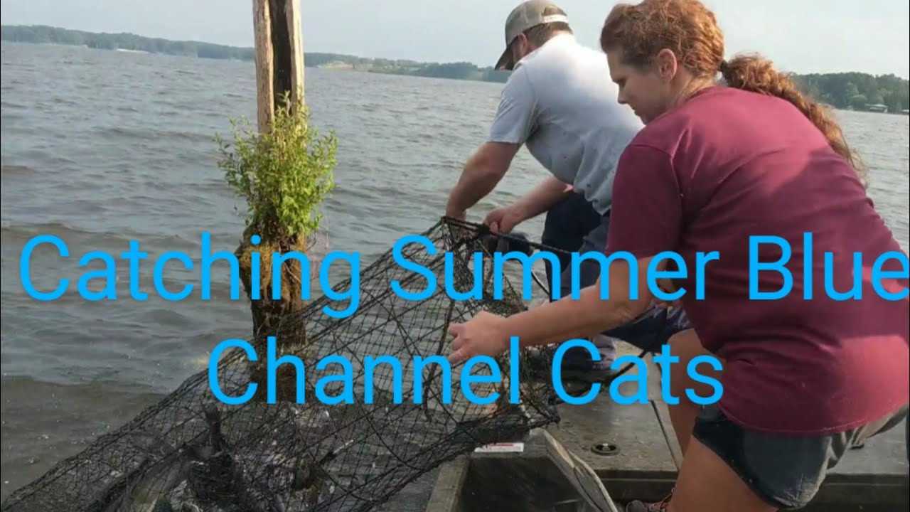 Net Fishing Summer Blue Channel Catfish, with Garmin Livescope View!!!