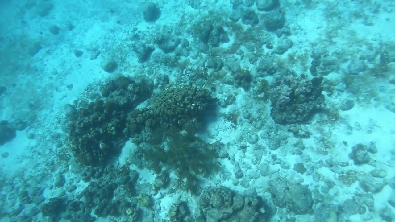 Cas Abao Snorkeling in Curacao