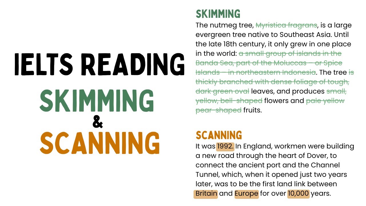 IELTS Reading: Kỹ năng Skimming & Scanning