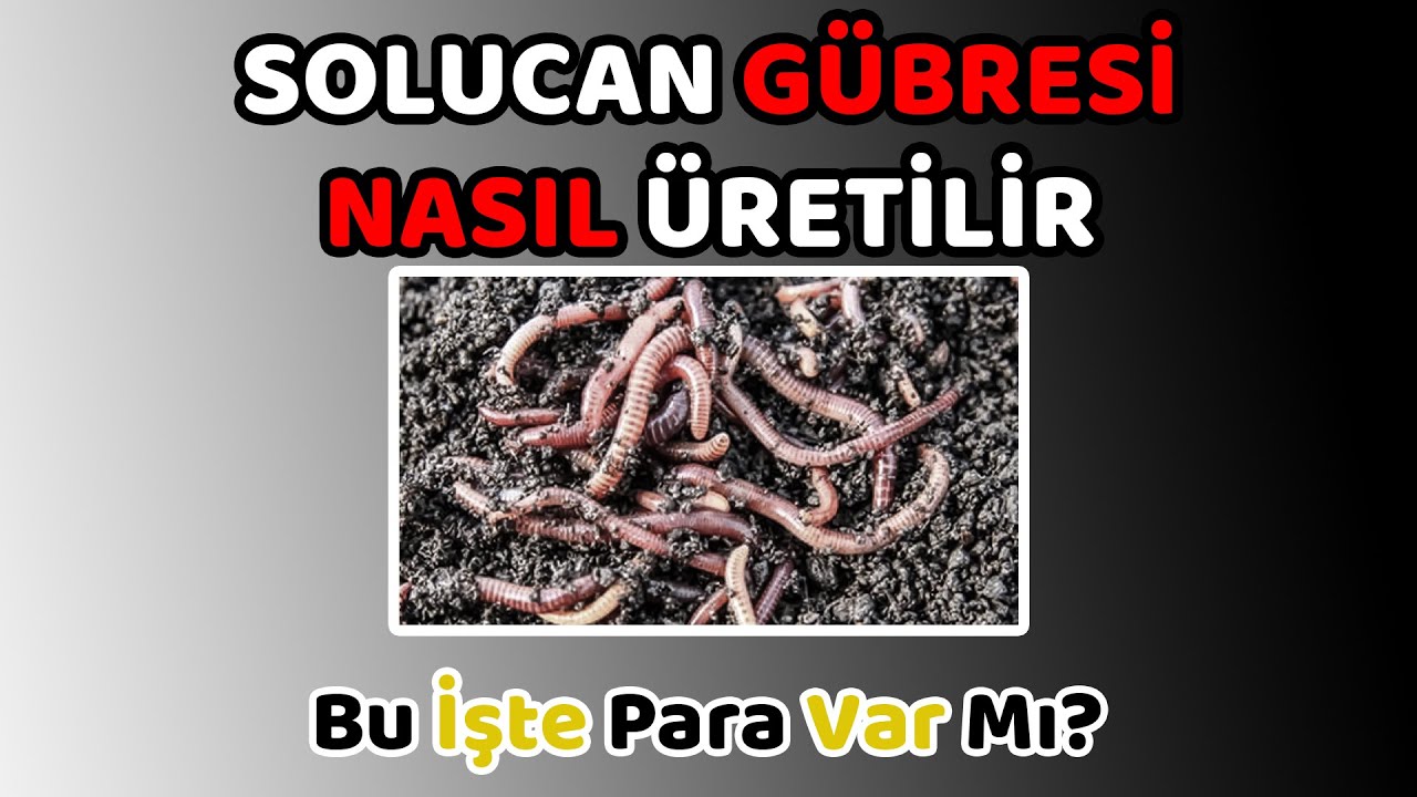 Solucan Gübresi Üretimi Nasıl Yapılır - Solucan Gübresi Maliyetleri Nedir - Organik Gübre Karlı mı?