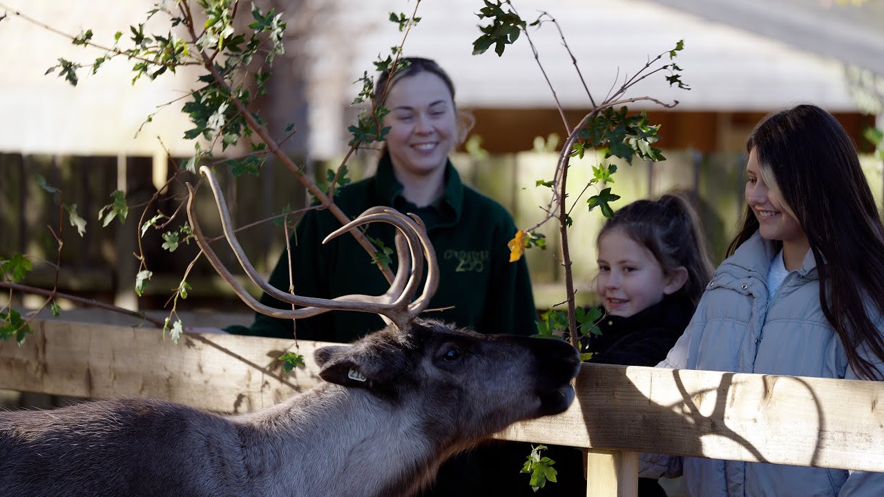 Conservation Never Stops | CZS Christmas Advert 2025