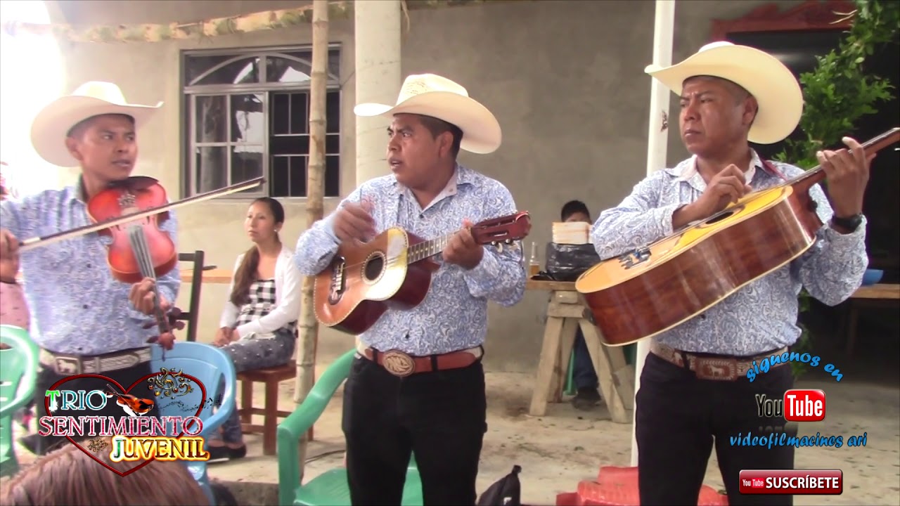 Trío sentimiento juvenil en tzapullo TECOMATE CHICONTEPEC #produccionesypromocionesARIvideoyfoto