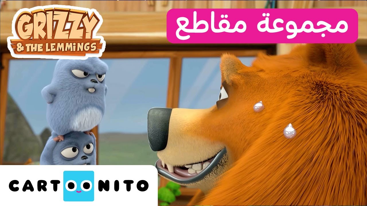 غريزي والليمينغز | 🐻🍿 ضحك متواصل | كارتونيتو | Grizzy & the Lemmings
