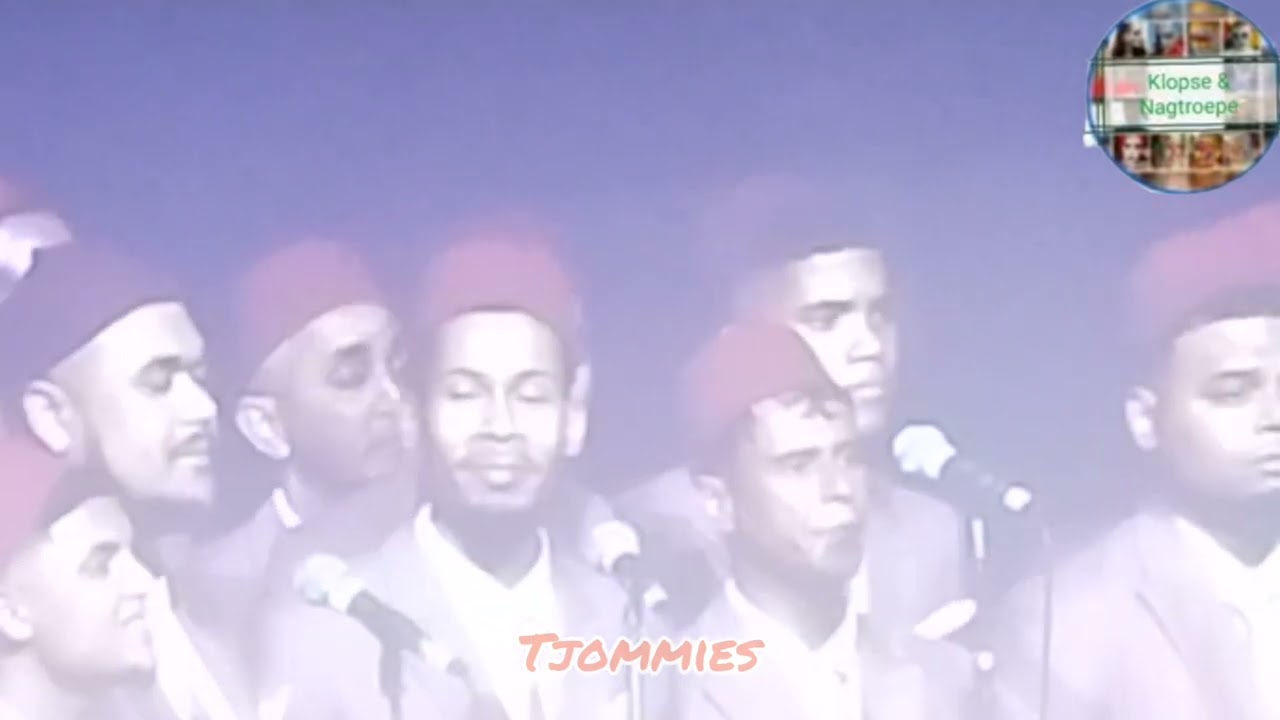 Tjommies 2025 Nederlandse Lied