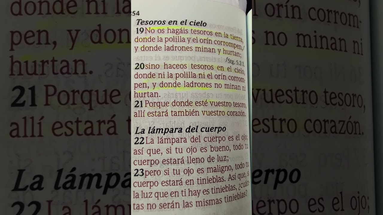 S.Mateo 6:19-21 No os hag&aacute;is tesoros en la tierra, donde la polilla y el or&iacute;n corrompen