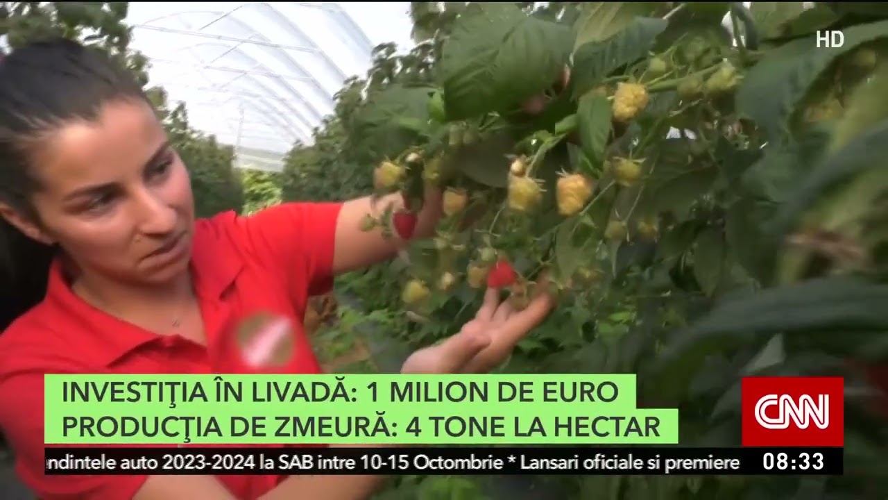 Afacerea BIO cu care o tânără familie de români a dat lovitura la Şinteu, în Bihor