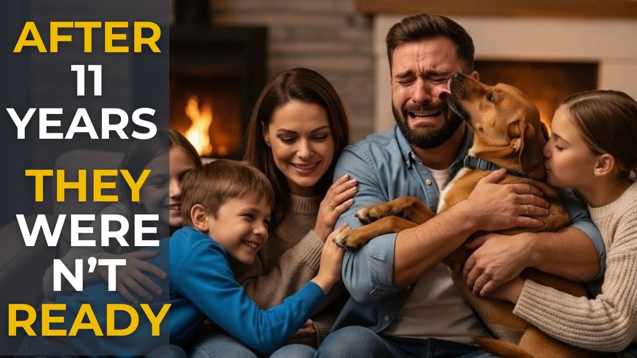 How They Lost Their First Dog After 11 Years — Why This One Chose Them 