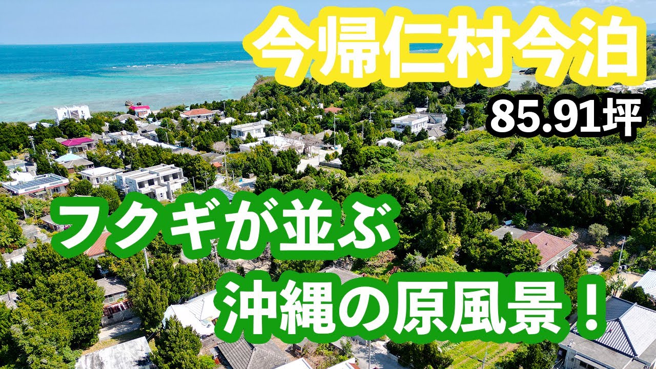 【売地】今帰仁村今泊85.91坪