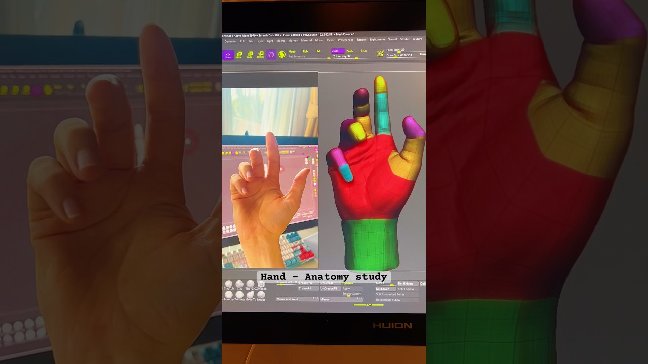Hand Anatomy Study #handwriting #handanatomy #anatomy #3dart #anatomystudy #zbrush #handwork