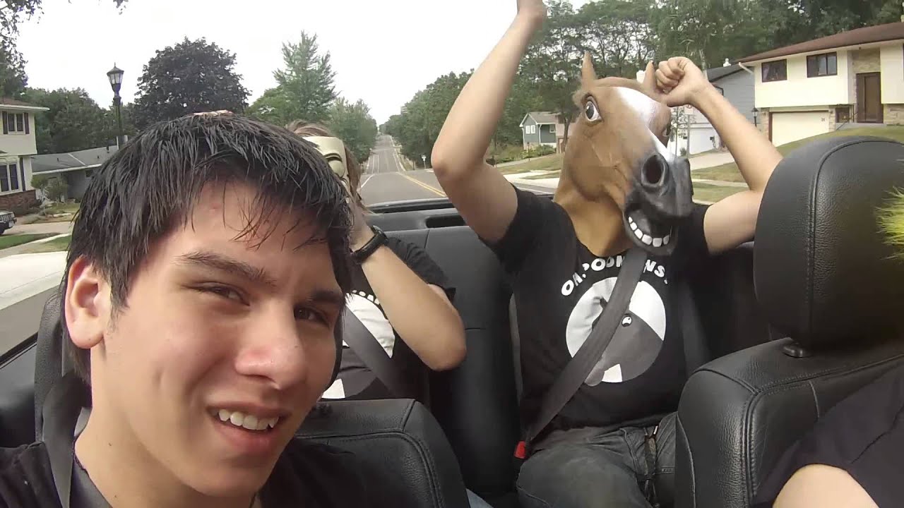 Poonikins Day Off With His Friends