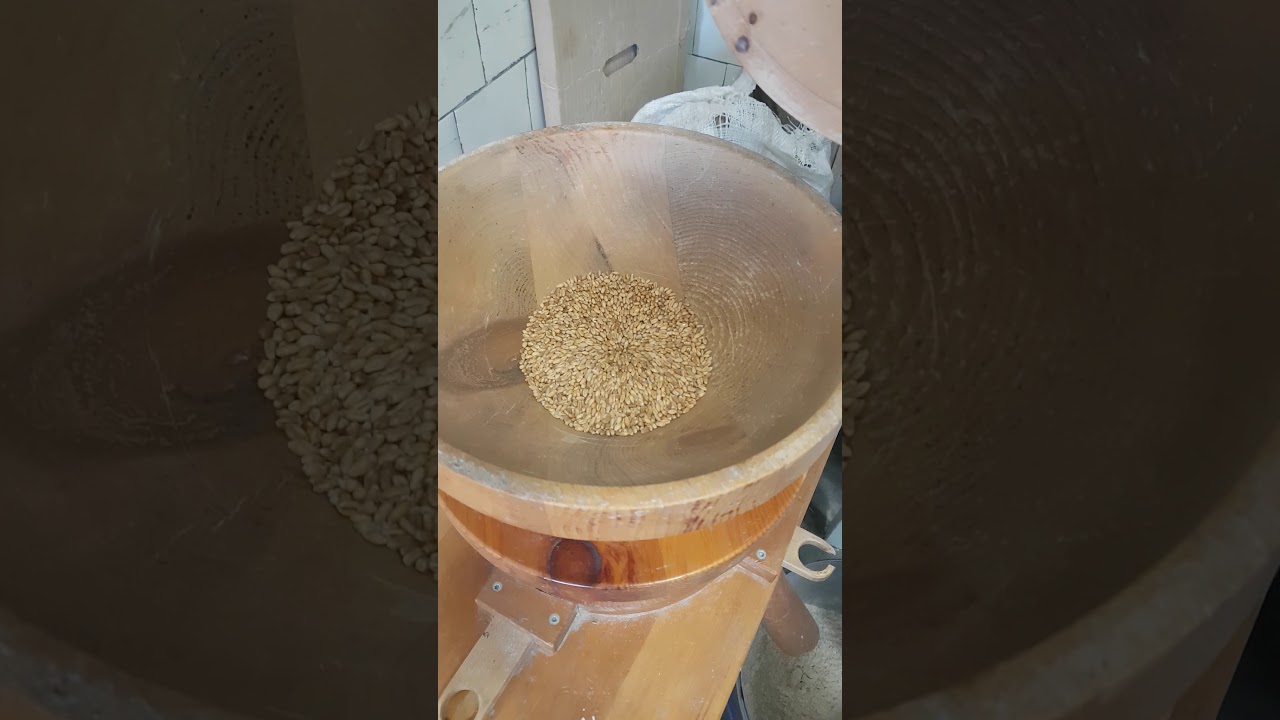 Мельница электрическая Waldner Biotech INDUSTRY COMBI