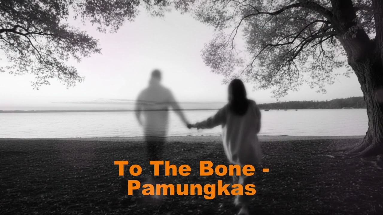 Pamungkas - To The Bone (Cover akustik)