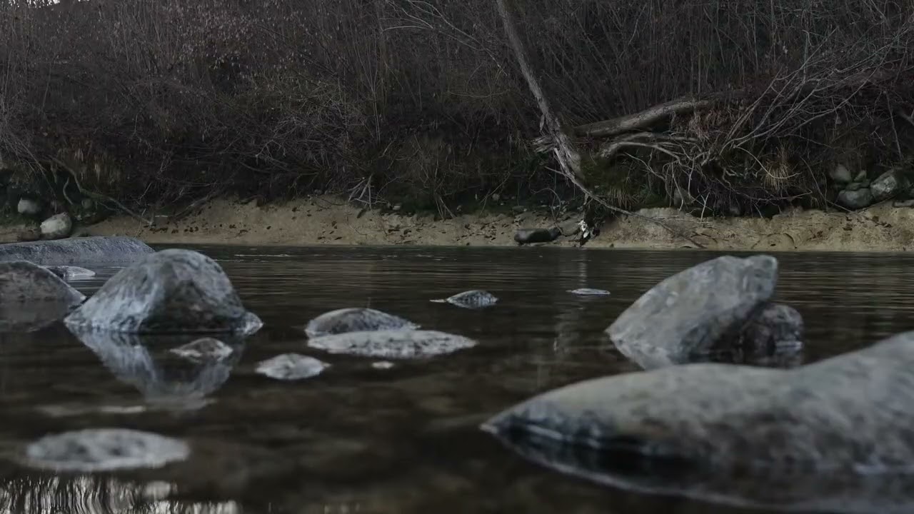 Deep Sleep River Sounds Loop - 10 Hours of Pure Tranquility and Sleep fur TV