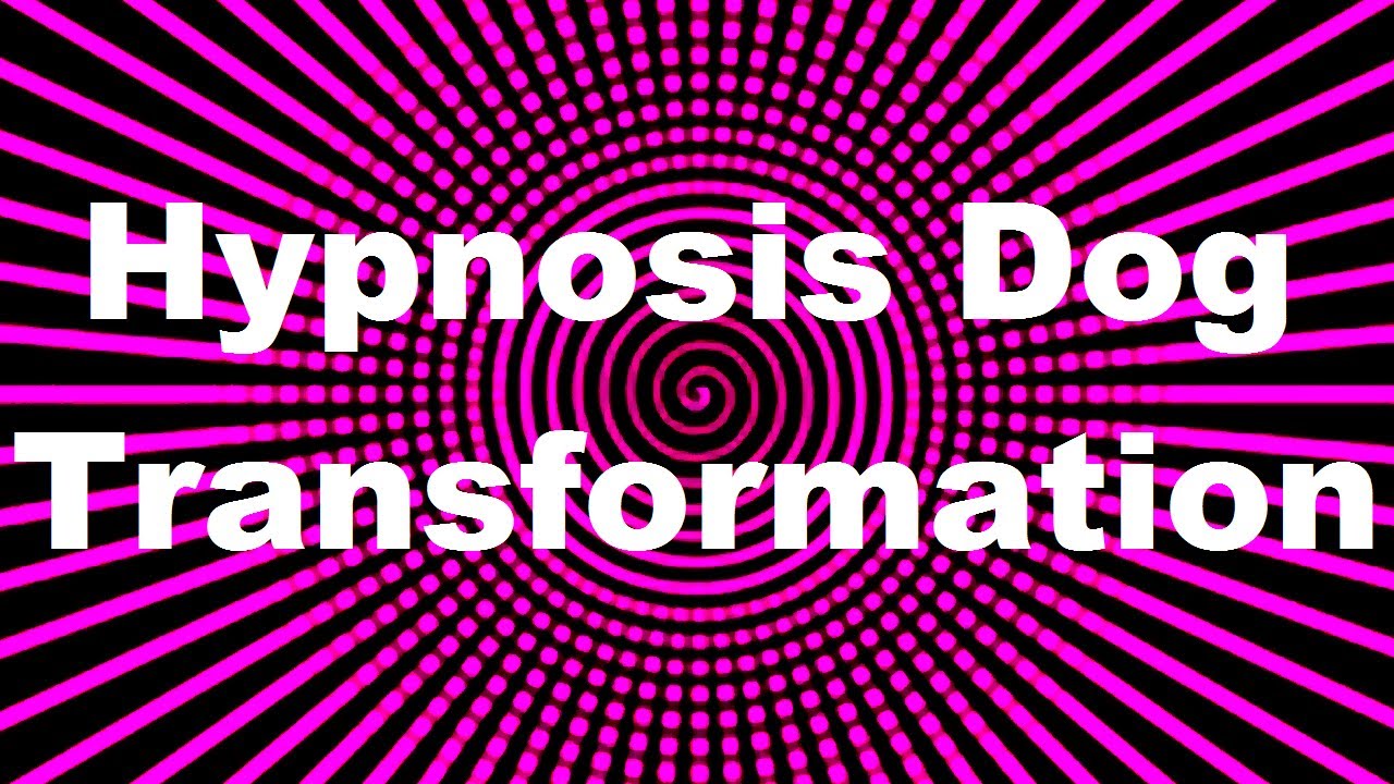 Гипнозная трансформация собаки
