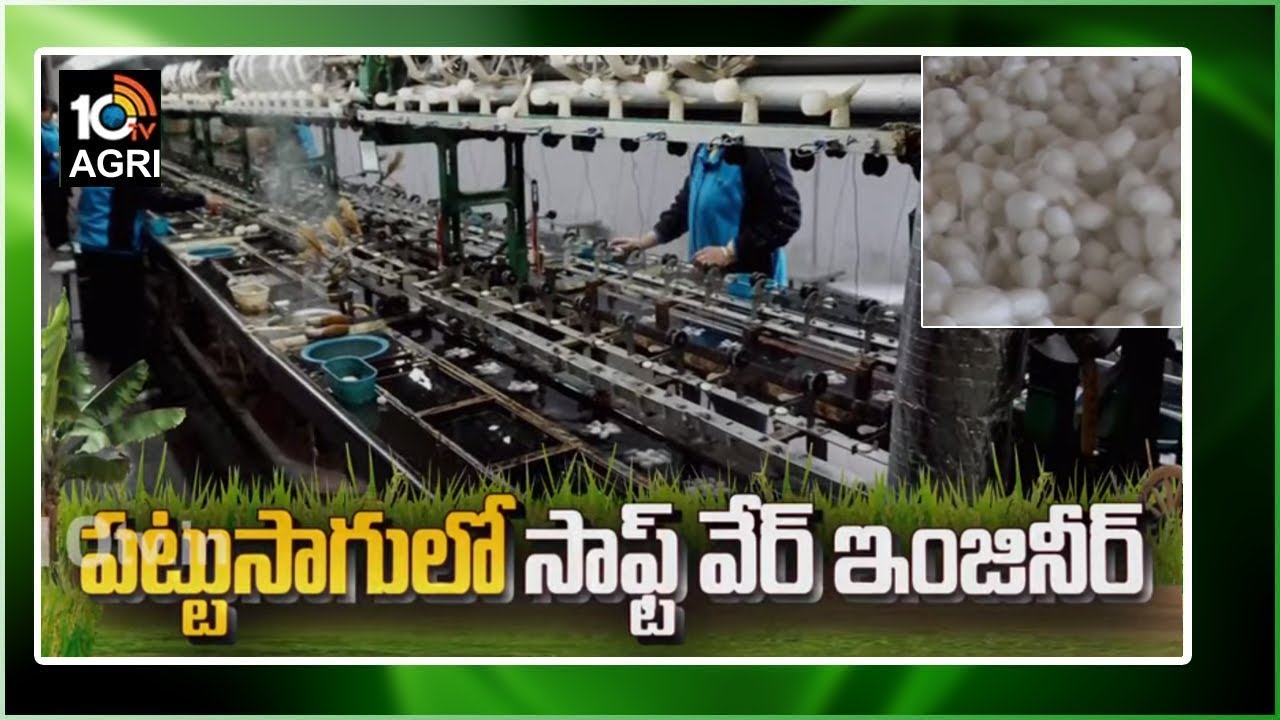 పట్టుసాగులో సాప్ట్ వేర్ ఇంజినీర్ | Software Engineer Silk Production with Mulberry Cultivation