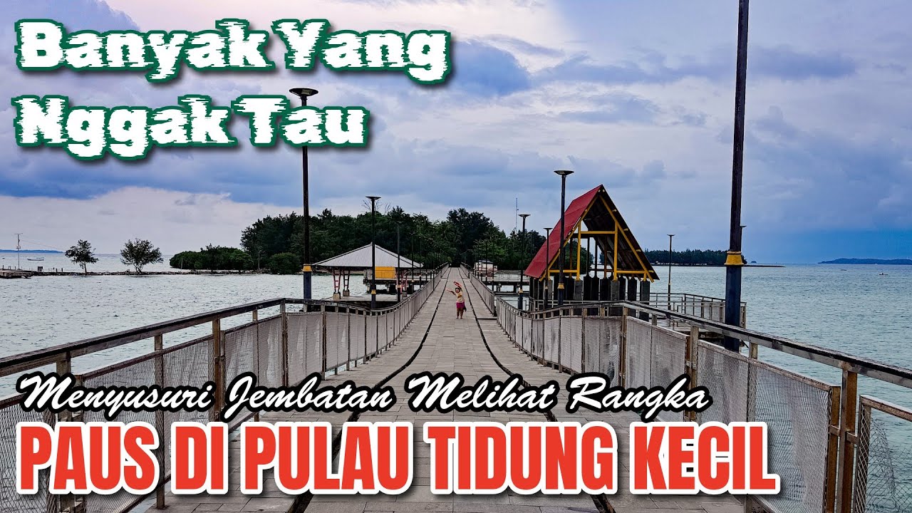 Banyak Yang Nggak Tau | Ada Paus Di Pulau Tidung Kecil | Trip Pulau Tidung #3 |