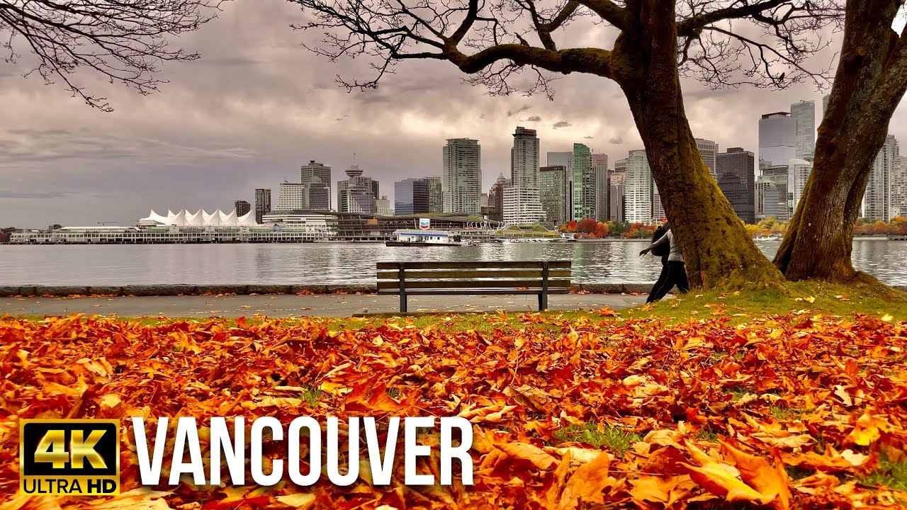 [4K] Stanley Park 🍁Autumn Walk - Vancouver B.C, Canada 🇨🇦 - Oct, 2023