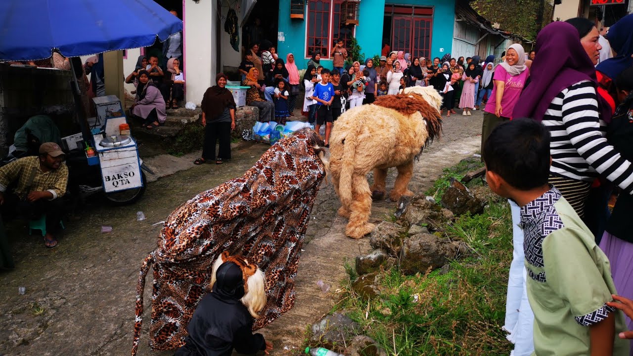 JSWT Barong Gadrok Menggila Wonosobo 