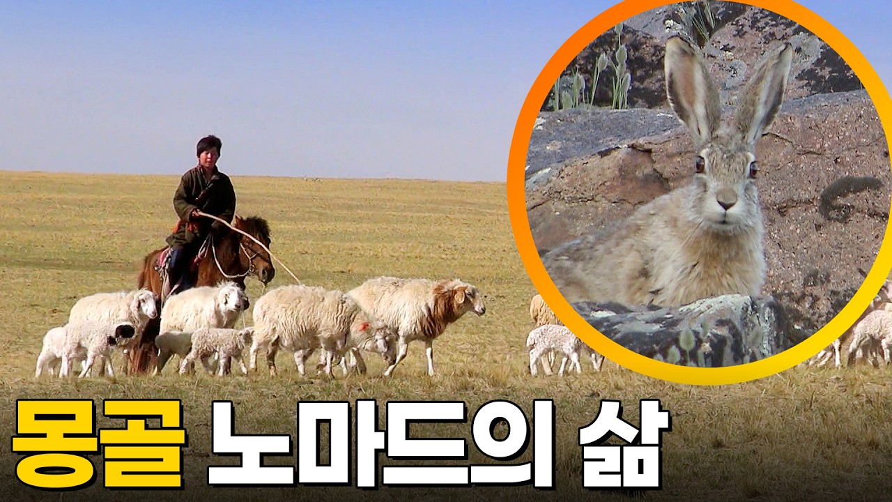 자연 속을 누비다! 몽골 노마드의 삶 KBS 걸작 다큐멘터리