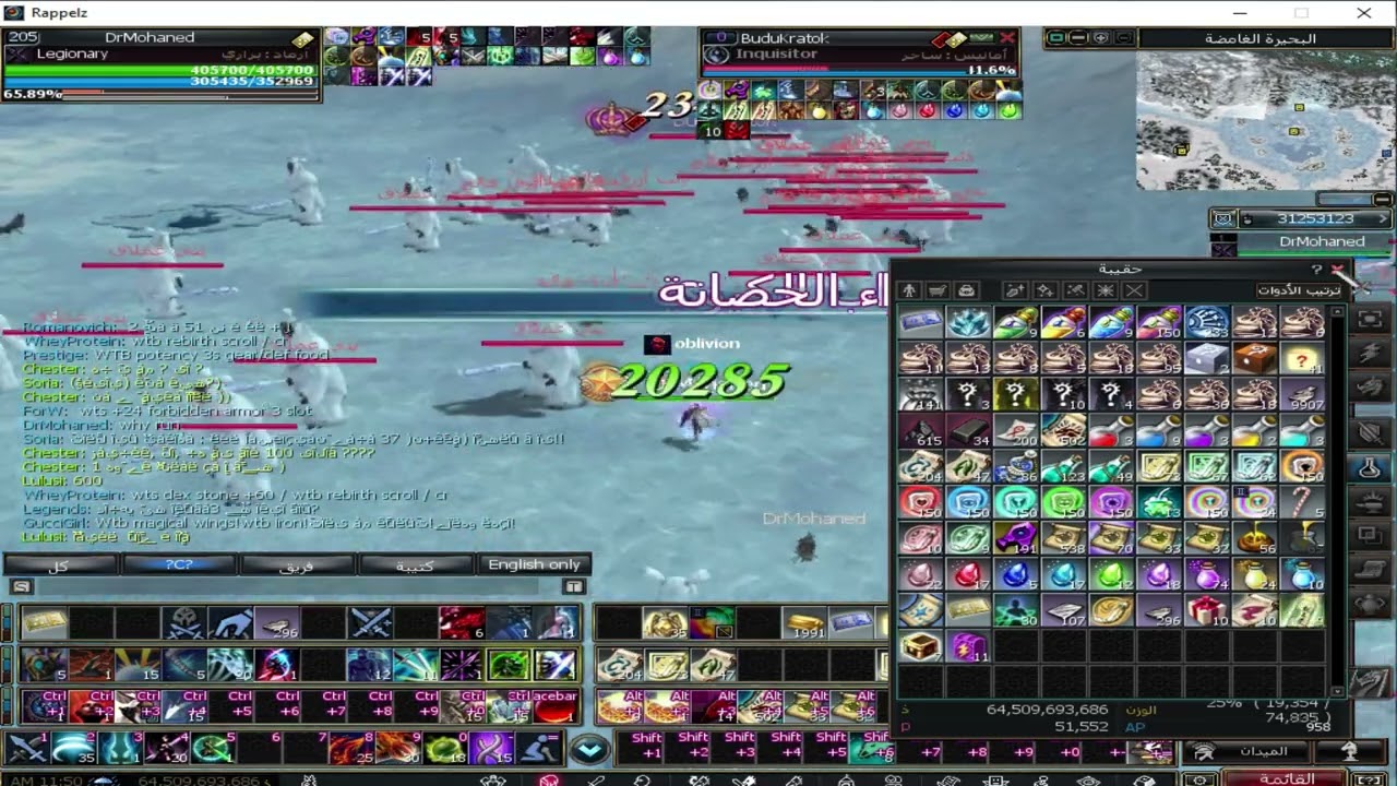 Challenger vs kot ( Rappelz space )