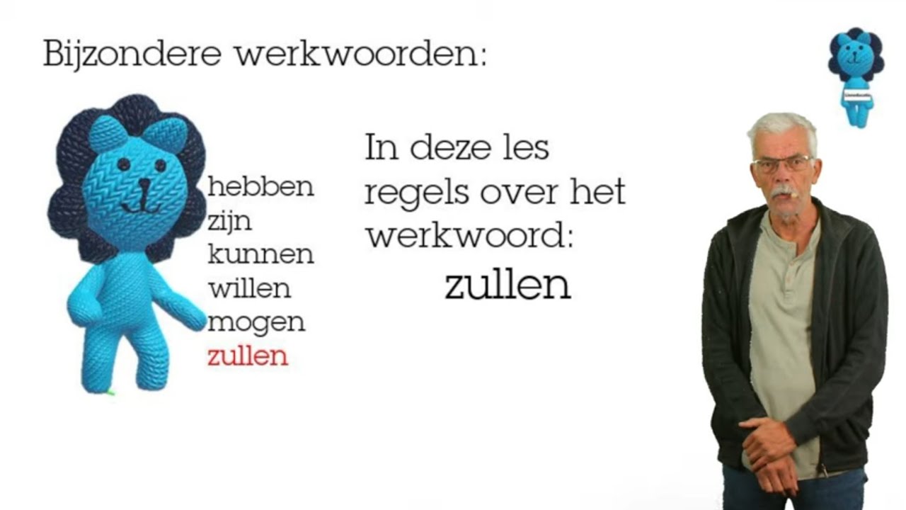 Grammatica : de regels en het gebruik van het bijzondere werkwoord zullen