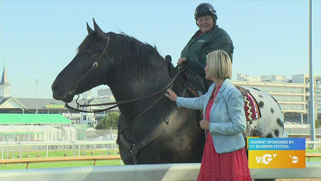 GDL: Meet Monnie & Harley, Churchill Down's most famous escort pony