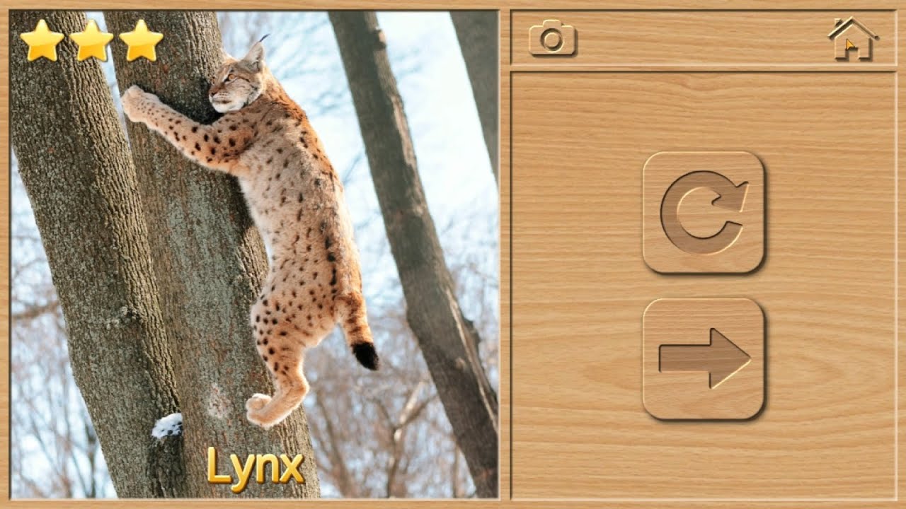 JIGSAW PUZZLES FOR KIDS (ENGLISH) ANIMAL PUZZLES FOR CHILDREN (WOLF, FOX, HARE, BROWN BEAR, MOOSE)