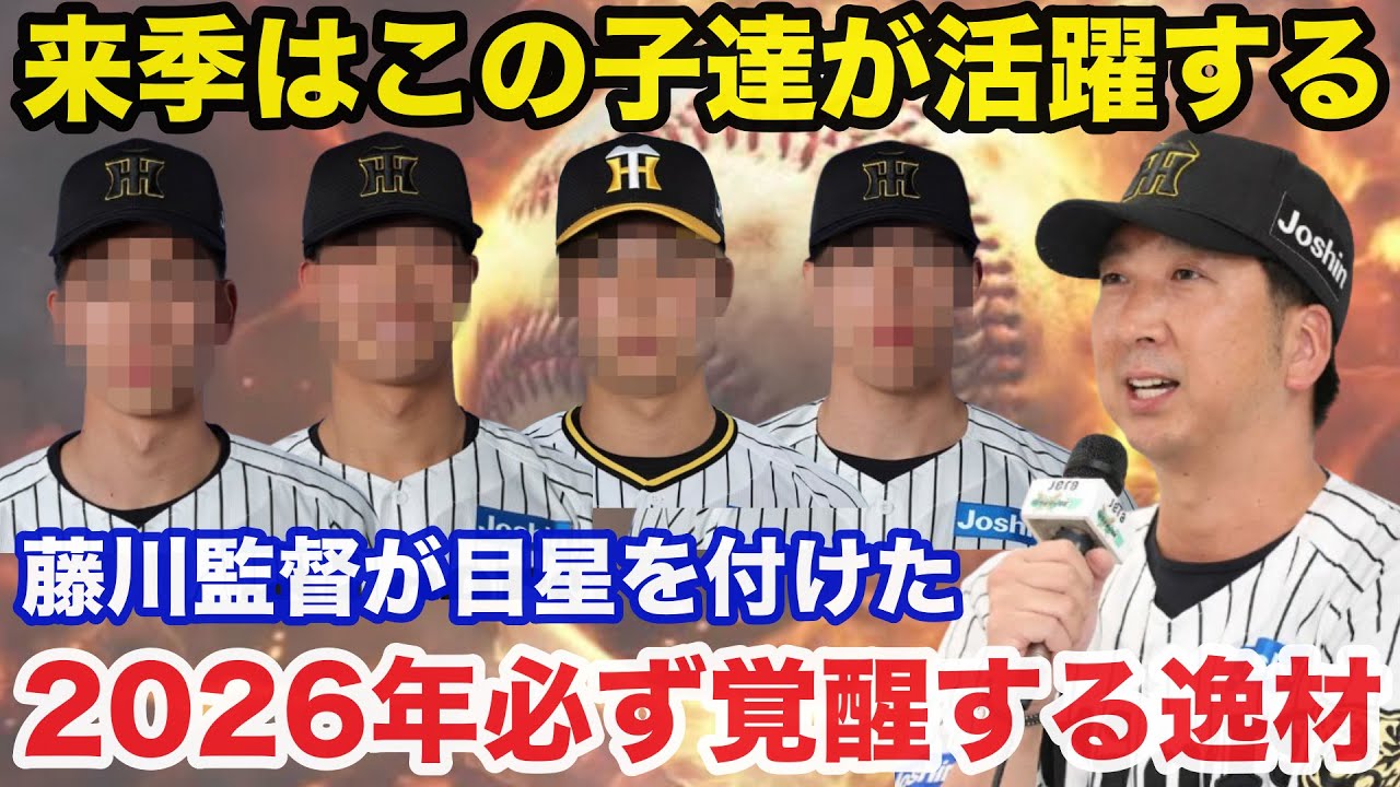 阪神.藤川監督が密かに期待する2026年必ず覚醒するであろう逸材がコチラ【阪神タイガース】