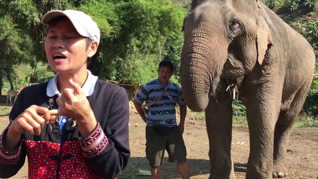 THAILANDIA - Avventure Nel Mondo