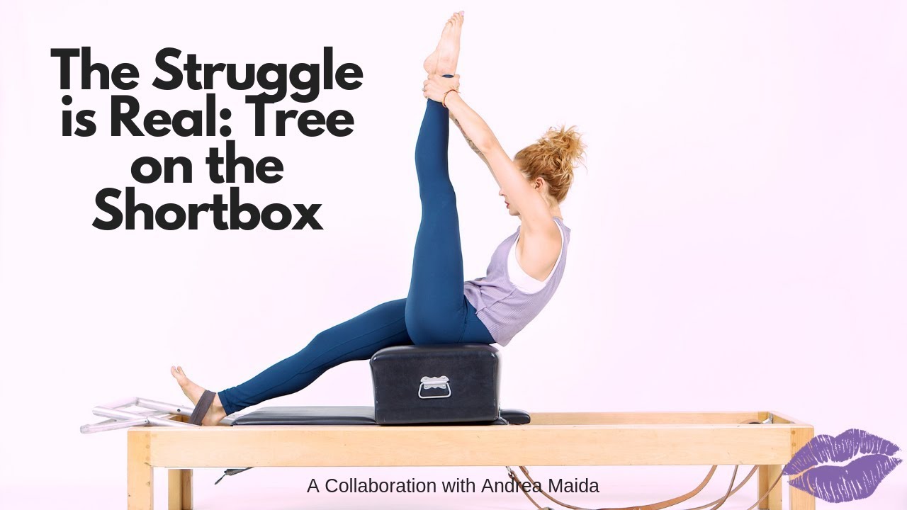 The Struggle is Real: Tree on the Short Box | Online Pilates Classes
