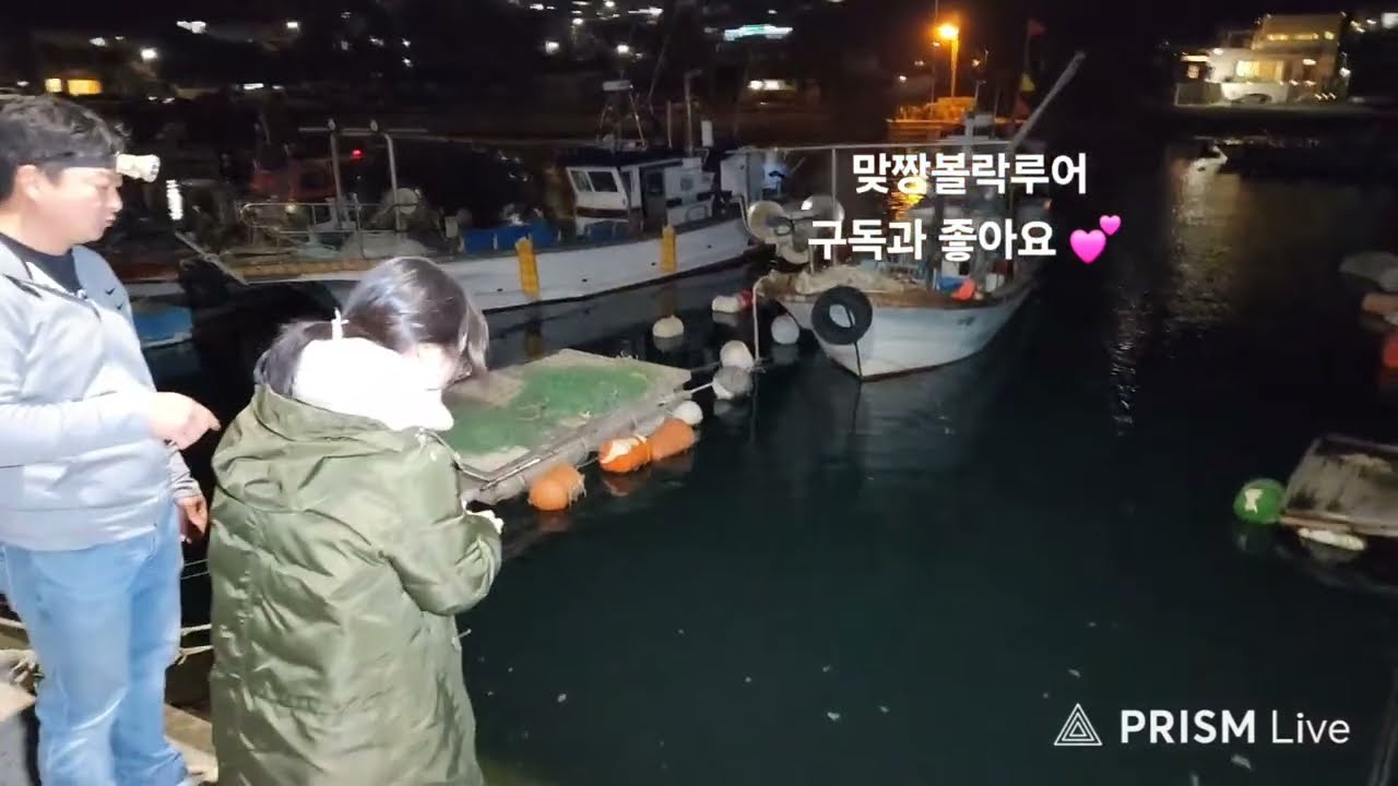 라방8편2부 볼락루어 배우기 및 볼락회 시식(2026-02-15) #fishing #fish #낚시 #루어 #루어낚시 #바다낚시 #볼락낚시 #볼락루어 #볼락 