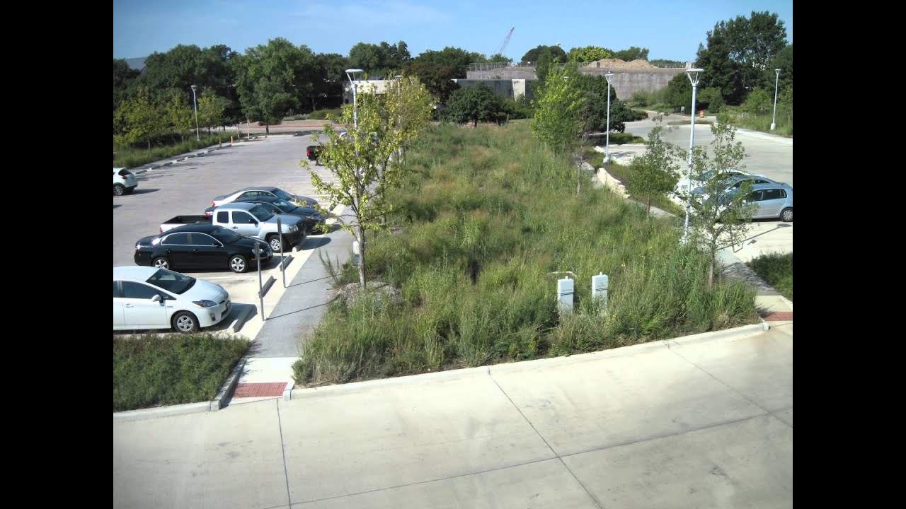 Bioswale Timelapse (Feb 2012 -- Jun 2013)