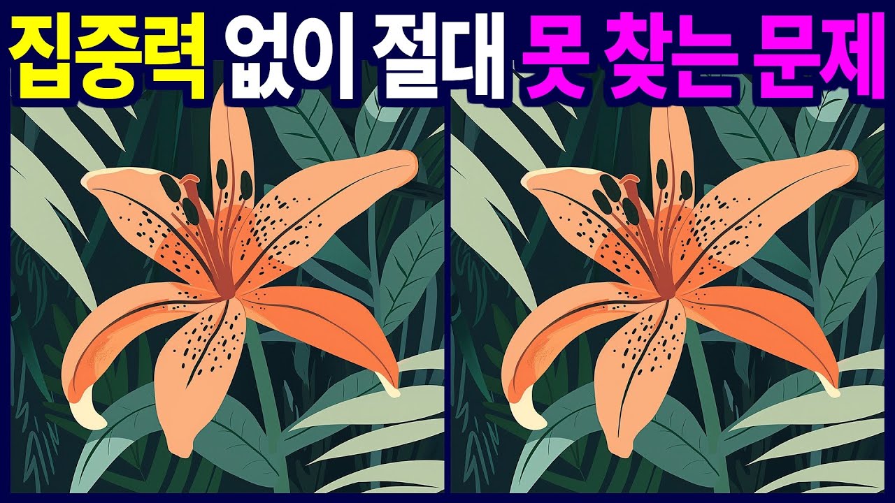 집중력 없이는 찾을 수 없는 다른 그림 찾기, 틀린 그림 찾기 게임을 통해 치매 예방 두뇌 운동 하세요.