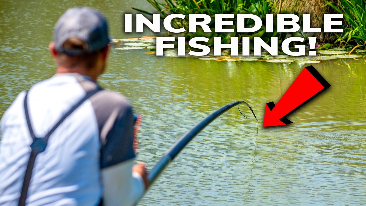INCREDIBLE Fishing At This HIDDEN Venue!