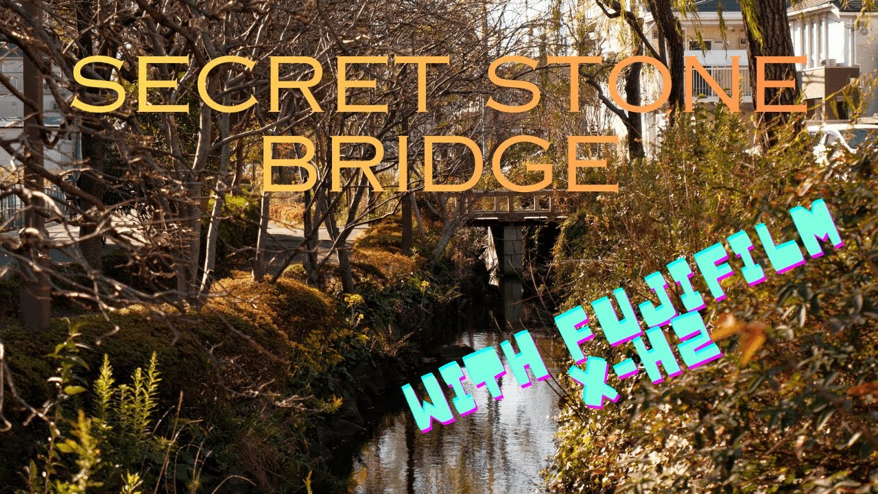 Real Tokyo Life: Walking in Edogawa | Ichinoe Sakaigawa Green Path (Part 2)