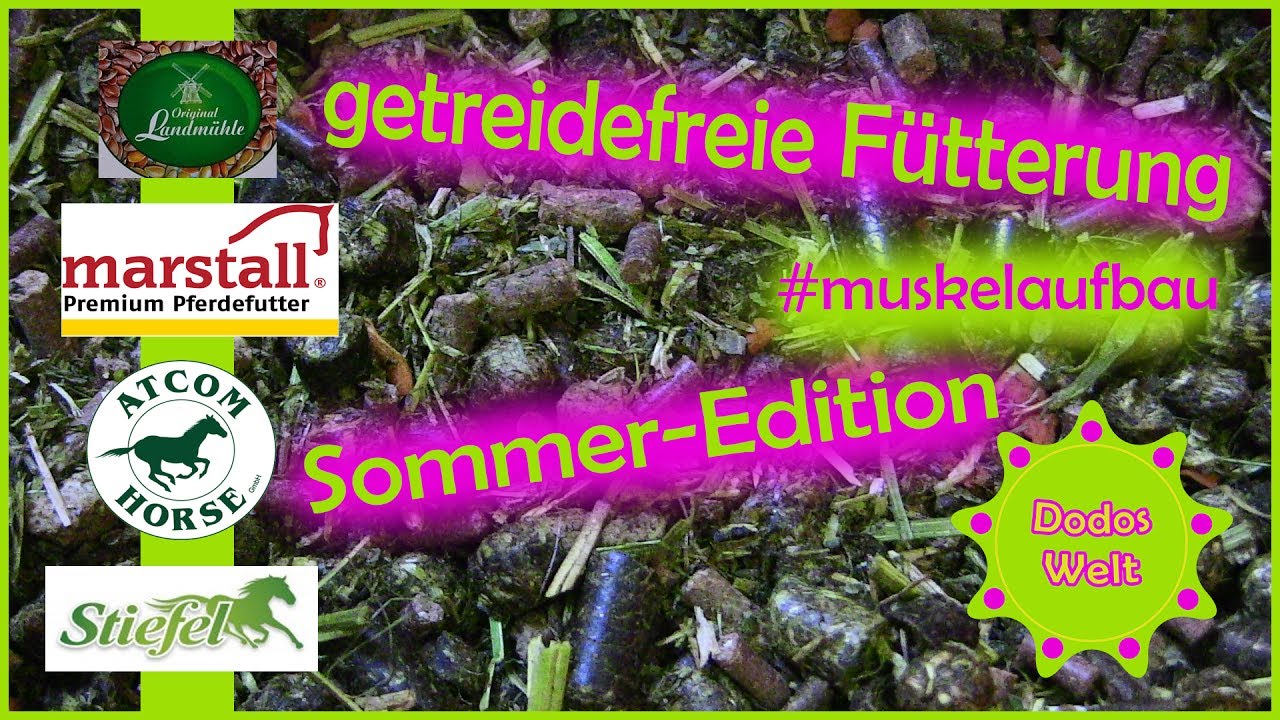 Pferdefutter Muskelaufbau 💪+ Getreidefrei = unmöglich? | Dodos Fütterung im Sommer | Dodos Welt