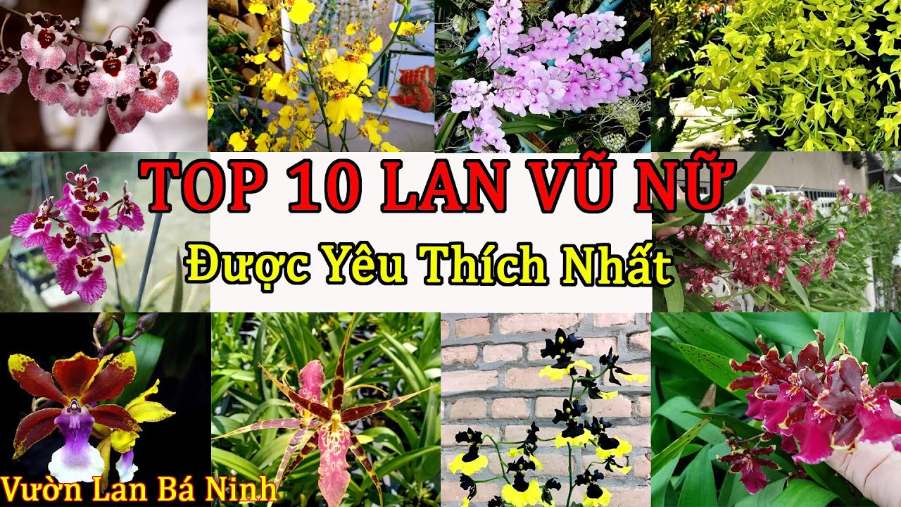 Top 10 Lan Vũ Nữ Được Y&ecirc;u Th&iacute;ch Nhất