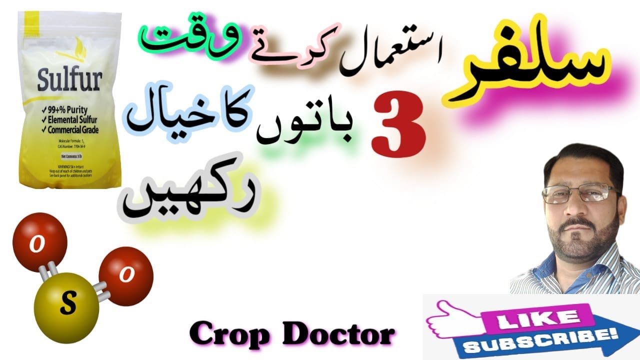 Importance & uses of Sulphur