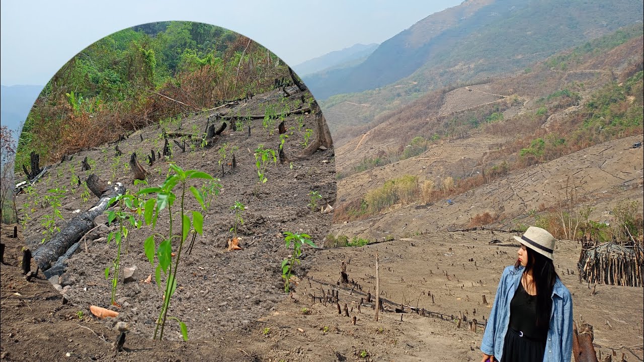 hāthei lui vākhayang 🫴🏻