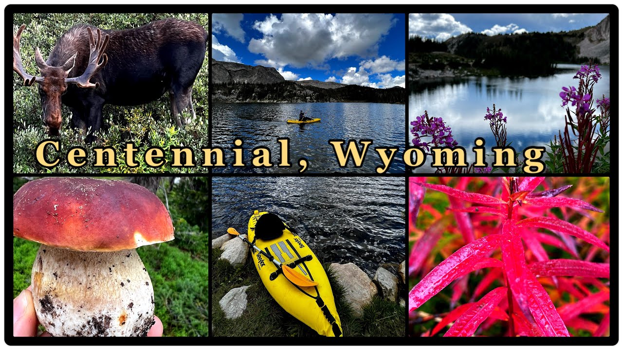 Exploring Centennial, Wyoming: Kayaking, Moose Encounters, and Mushroom Foraging
